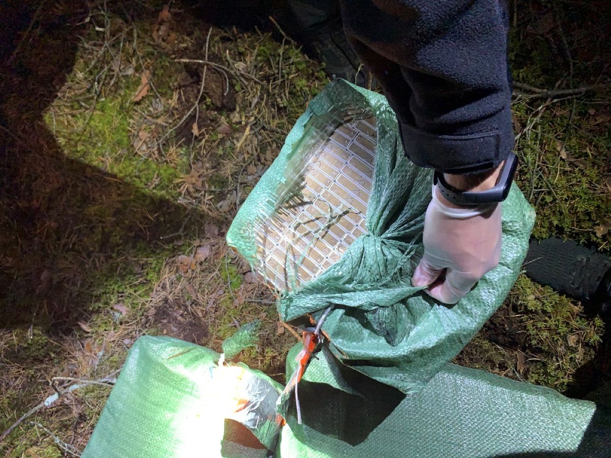 Netikėtas posūkis: FTB atsisveikina su agentais, dalyvavusiais Trumpo bylos tyrime