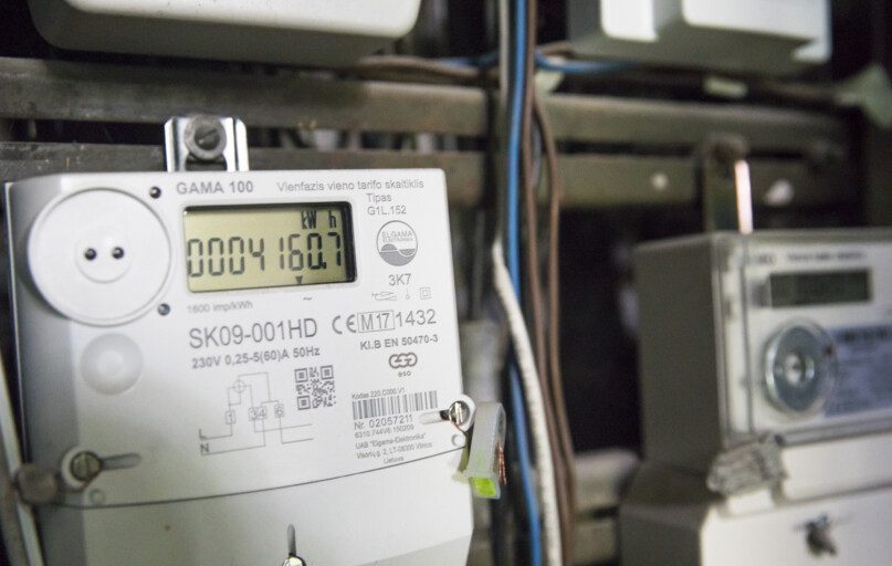 Elektra. ELTA / Mariaus Morkevičiaus nuotr.