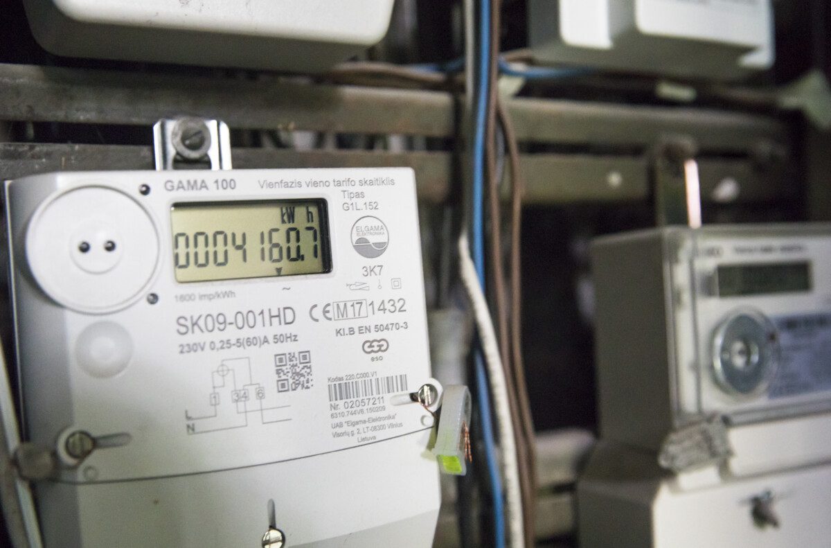 Elektra. ELTA / Mariaus Morkevičiaus nuotr.