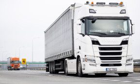 Vilkikai. ELTA / Žygimantas Gedvila nuotr.