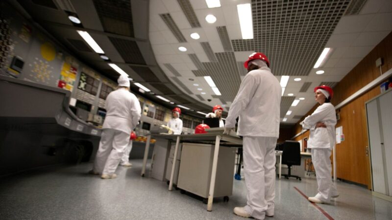 Apklausa parodė, kiek lenkų iš tiesų palaiko naujos atominės elektrinės statybą