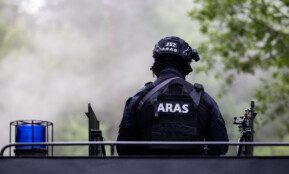 Aras. ELTA / Julius Kalinskas nuotr.