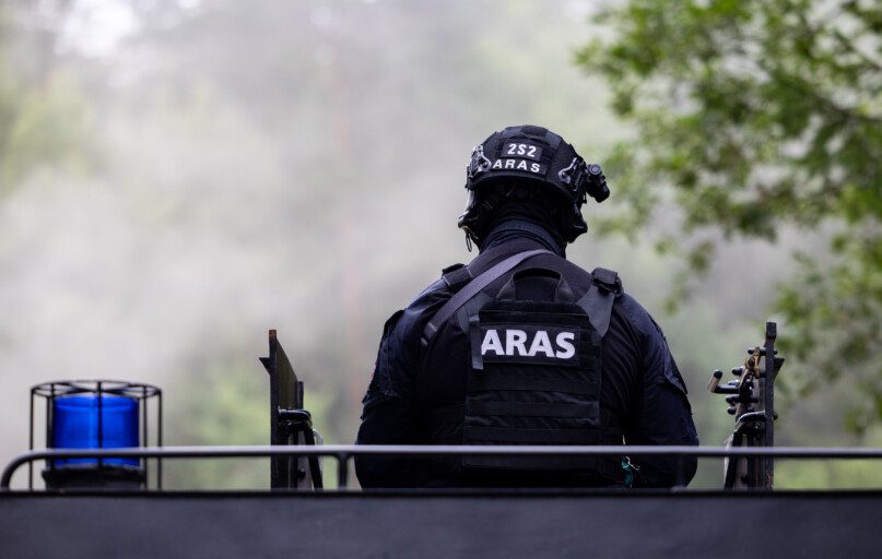 Aras. ELTA / Julius Kalinskas nuotr.