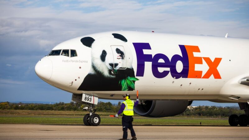 Ašaros Tokijuje: iš šalies išgabenamos vienintelės pandos