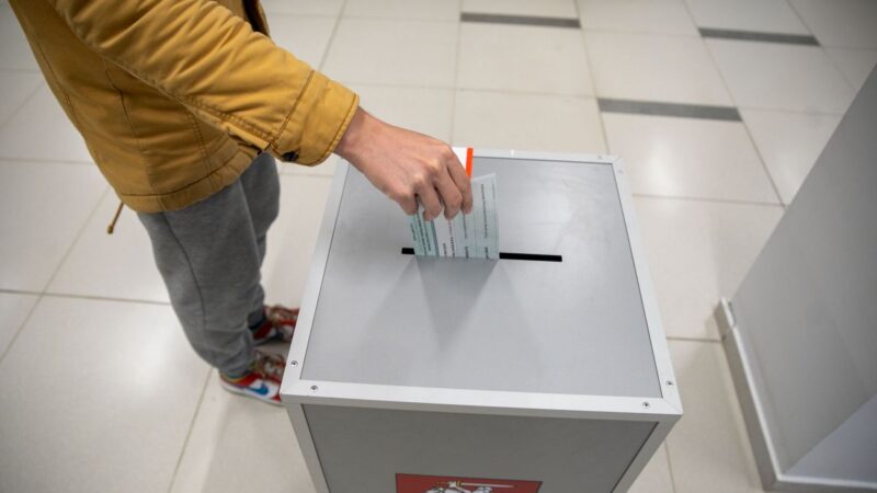 Užkulisiuose verdantys ginčai: Bridikis atskleidė, kodėl kai kurių šalių piliečių balsavimas tapo problema