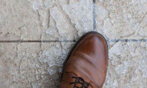 Plikledis. ELTA / Dainius Labutis