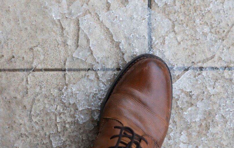 Plikledis. ELTA / Dainius Labutis