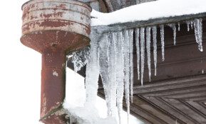 Žiemos eskizai. ELTA / Dainius Labutis nuotr.