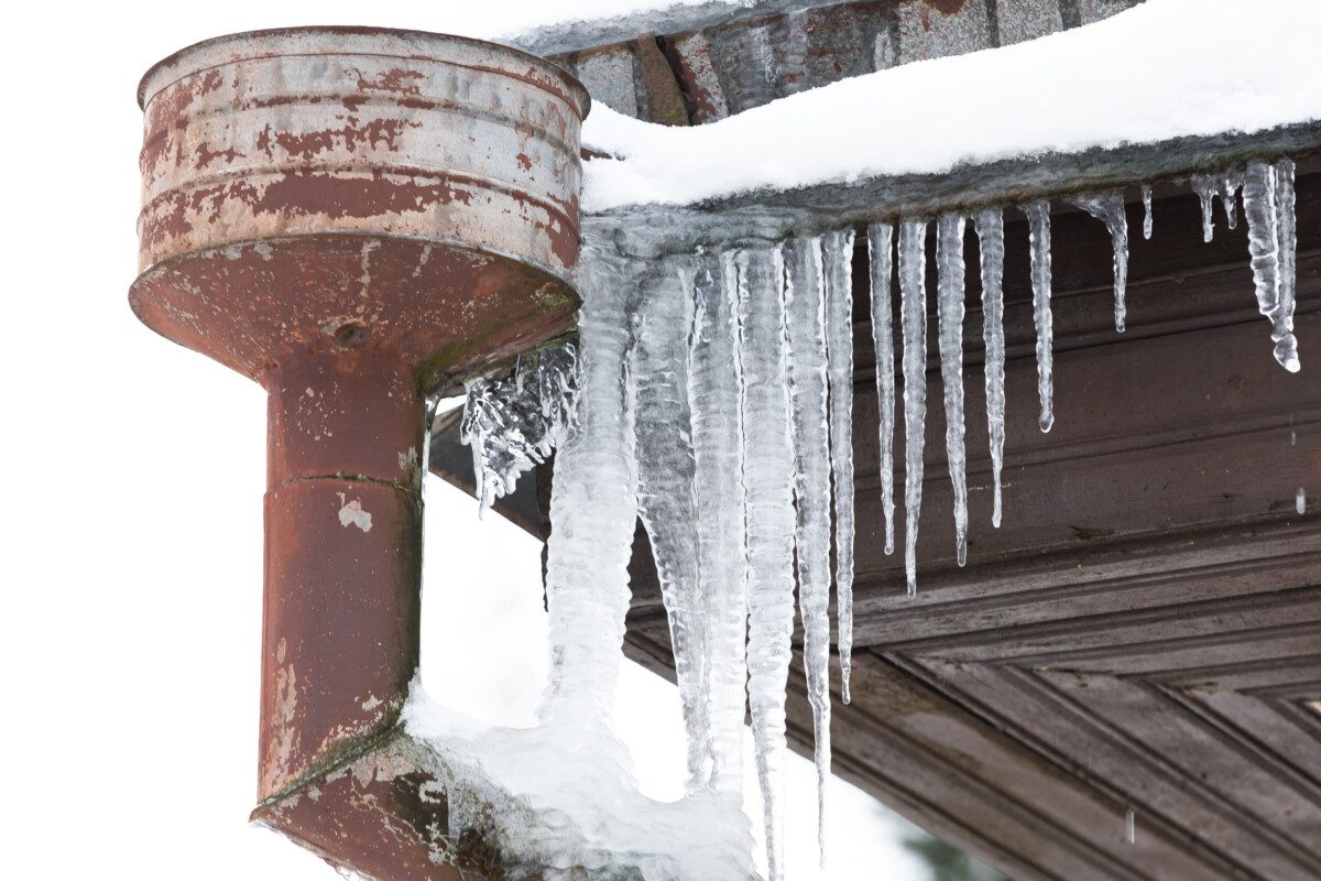 Žiemos eskizai. ELTA / Dainius Labutis nuotr.