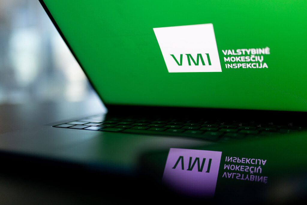 VMI. ELTA / Žygimantas Gedvila nuotr.