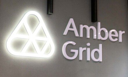 Amber Grid. ELTA / Dainius Labutis