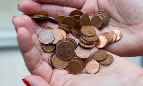 Centai. ELTA / Dainius Labutis nuotr.