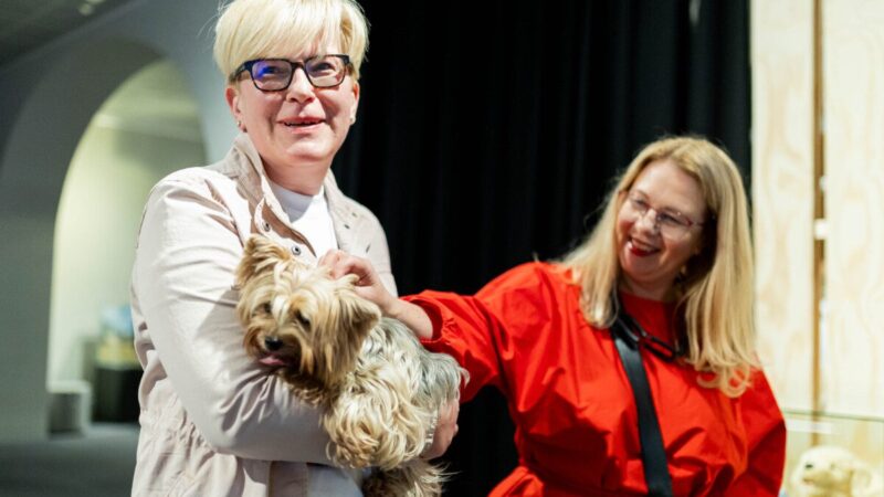 Kas taps kitu prezidentu? Gyventojai jau mini Šimonytę, Kasčiūną ir Tapiną, o kurį rinktumėt jūs?