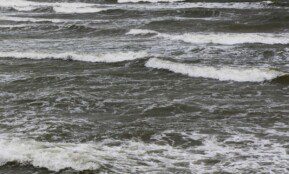 Baltijos jūra. ELTA / Dainius Labutis