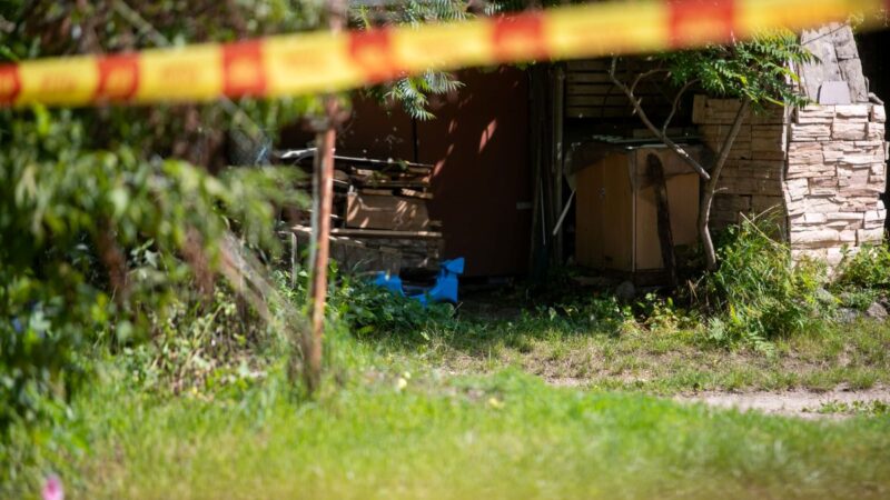 Itin žiaurus nepilnamečio nužudymas Vilniuje: byla perduota teismui