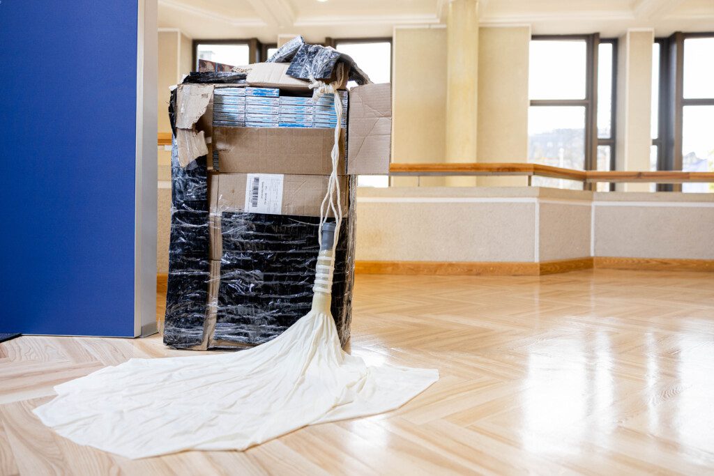 Kotrabandiniai balionai. ELTA / Žygimantas Gedvila nuotr.