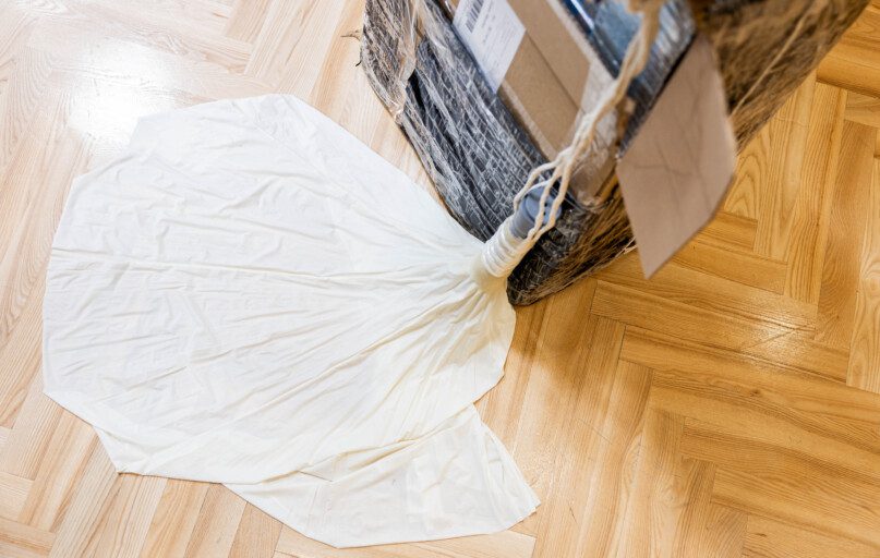 Kotrabandiniai balionai. ELTA / Žygimantas Gedvila nuotr.