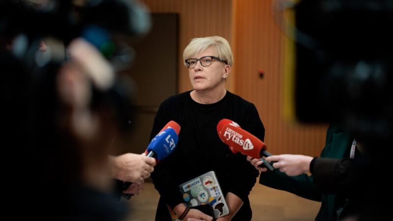 „Komedija“, kuri gali baigtis rimtai: ar konservatorės Šimonytės žodžiai apie LSDP įžeis valdančiuosius?