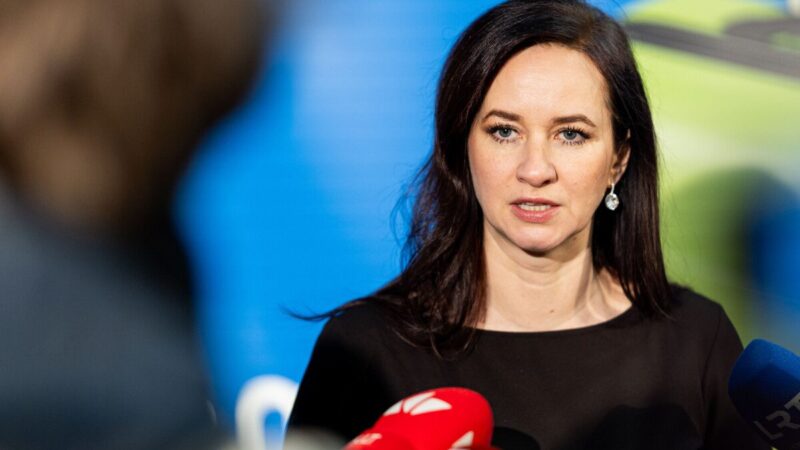 Ruginienė ramina: KAM pirkimų tvarkos pokyčiai nesusiję su korupcija