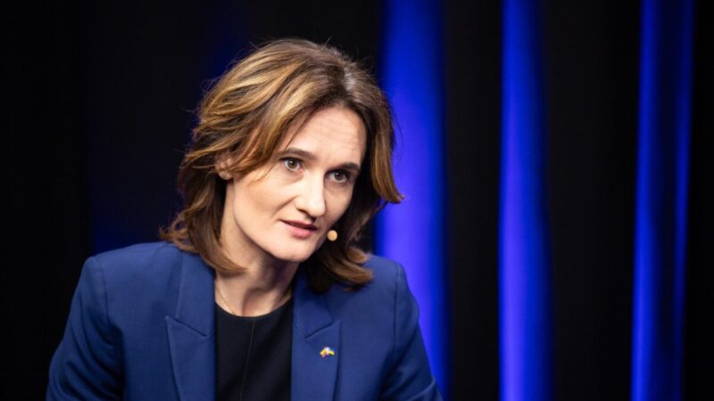 Liudydama riaušių byloje Čmilytė-Nielsen pabrėžė, kad sprendimų nepriiminėjo