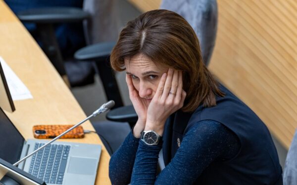 Ar grius pasitikėjimas politika? Liberalų lyderė įspėja, kad situacija gali smogti visai sistemai