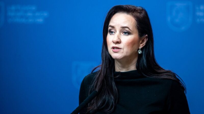 Politinė intriga dėl plano A, B ir C: Ruginienė apie opozicijos tylą ir kylančius klausimus