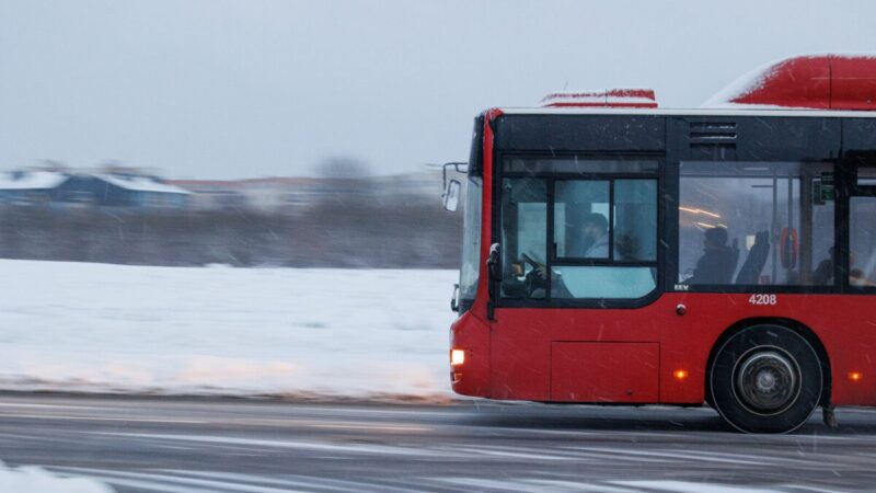 Viltis mokėti mažiau atsiremia į kainą: kodėl bilietų mažinimas laikomas per brangiu sprendimu?