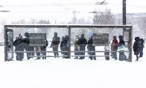 Sniegas Vilniuje. ELTA / Dainius Labutis nuotr.