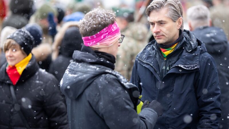 Budrys apie Ukrainą: tai tiesiogiai susiję su Lietuvos saugumu