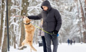 Vilnius žiemą. ELTA / Ervin Rauluševičius nuotr.