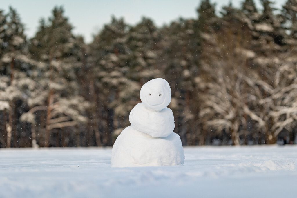 Žiema. ELTA / Ervin Rauluševičius nuotr.