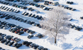 Saulėta žiemos diena. ELTA / Andrius Ufartas nuotr.