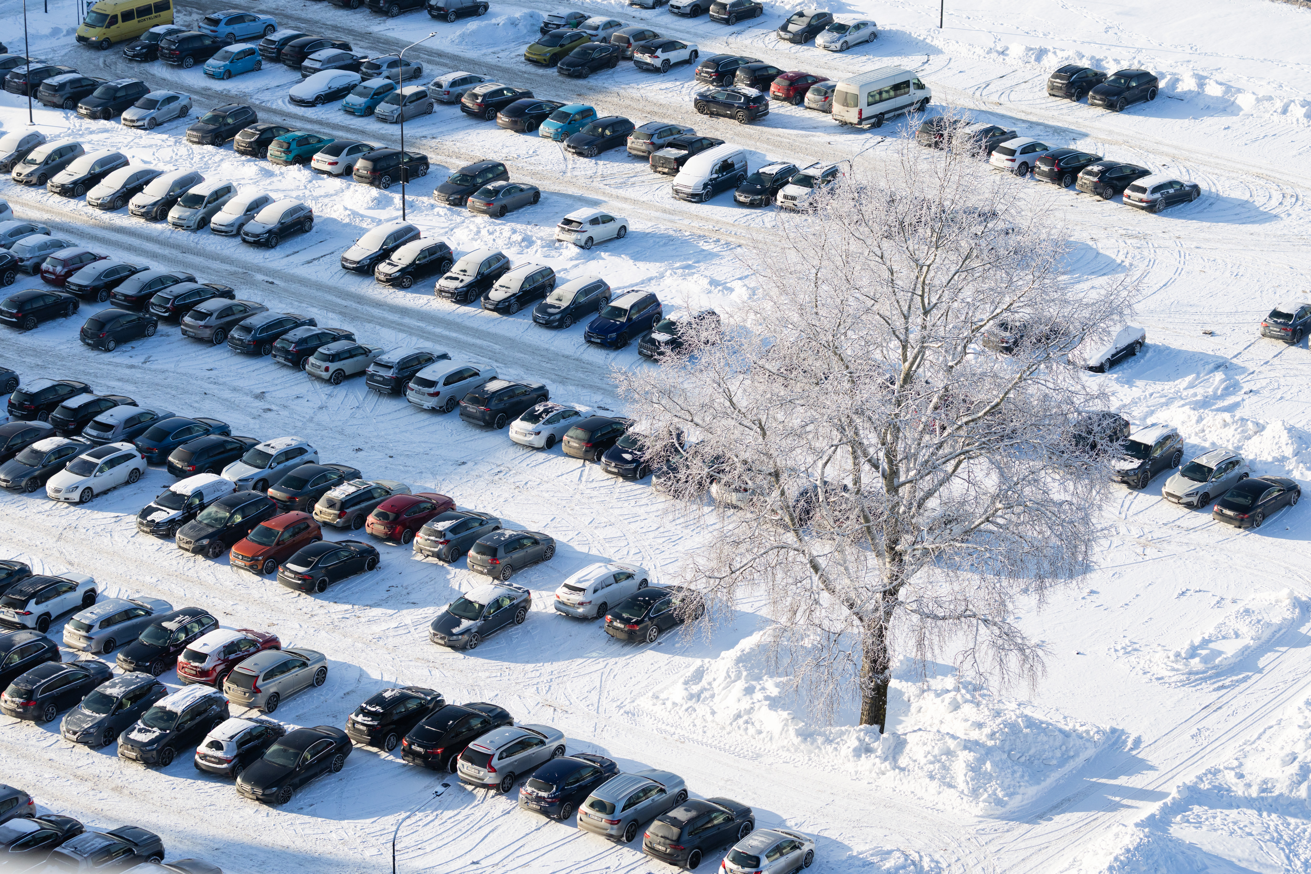 Saulėta žiemos diena. ELTA / Andrius Ufartas nuotr.