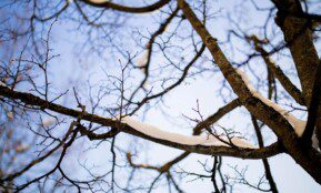 Žiema. ELTA / Žygimantas Gedvila