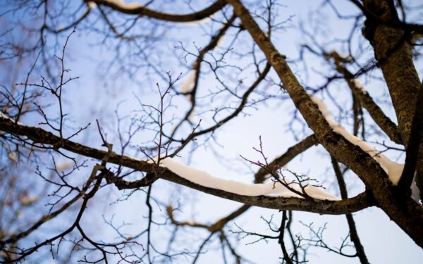 Kada pagaliau atšilimas? Sinoptikai paaiškina, kiek dar laikysis speigas ir kada orai ims keistis