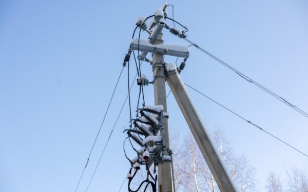 ESO šiemet miškingose teritorijose ketina nutiesti 700 km požeminių elektros kabelių