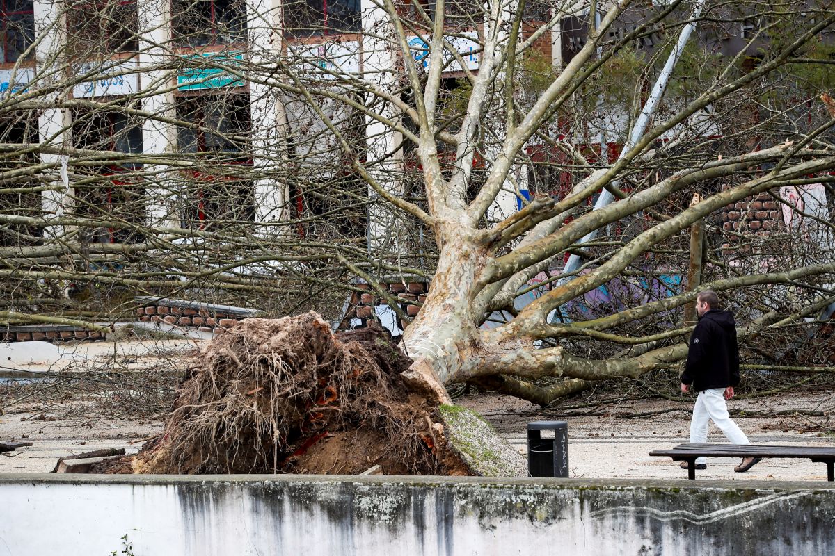 Audra Portugalijoje nusinešė gyvybes ir paralyžiavo šalį