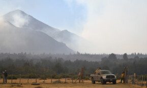Argentina dėl miškų gaisrų Patagonijoje paskelbė nepaprastąją padėtį. EPA-ELTA nuotr.