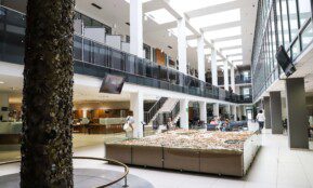 Vilniaus savivaldybėje. Dainiaus Labučio (ELTA) nuotr