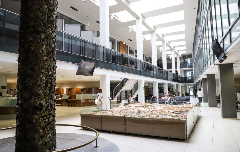 Vilniaus savivaldybėje. Dainiaus Labučio (ELTA) nuotr