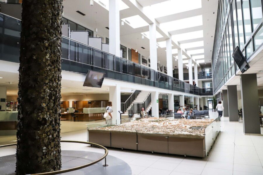 Vilniaus savivaldybėje. Dainiaus Labučio (ELTA) nuotr