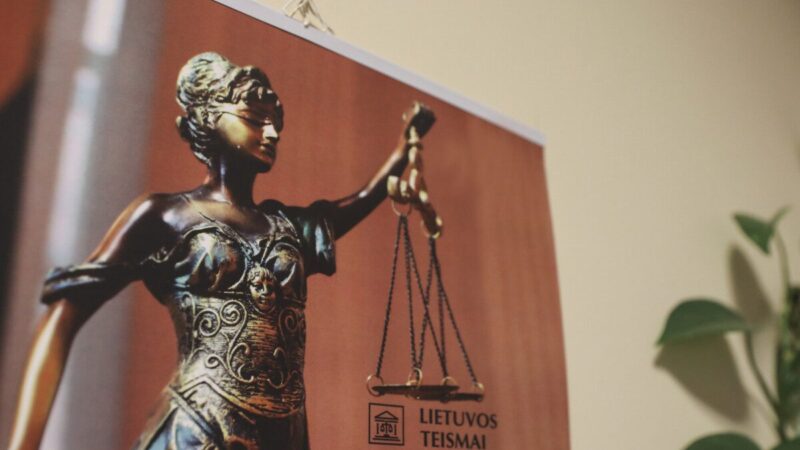 Vyriausybėje svarstoma iniciatyva, galinti paveikti nusikaltimų prieš vaikus nagrinėjimą