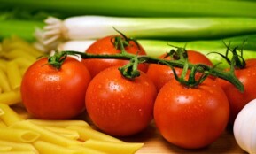tomatoes, pasta, food, ingredients, red tomatoes, fruits, dew, dewdrops, wet, healthy, organic, natural, fresh, diet, cooking, tomatoes, tomatoes, pasta, cooking, cooking, cooking, cooking, cooking
