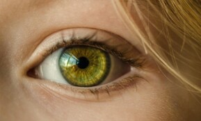 eye, iris, look, focus, green eye, close up, retina, pupil, eyeball, vision, sight, macro, girl, young, female, skin, caucasian, eyelashes, eye, eye, eye, eye, eye