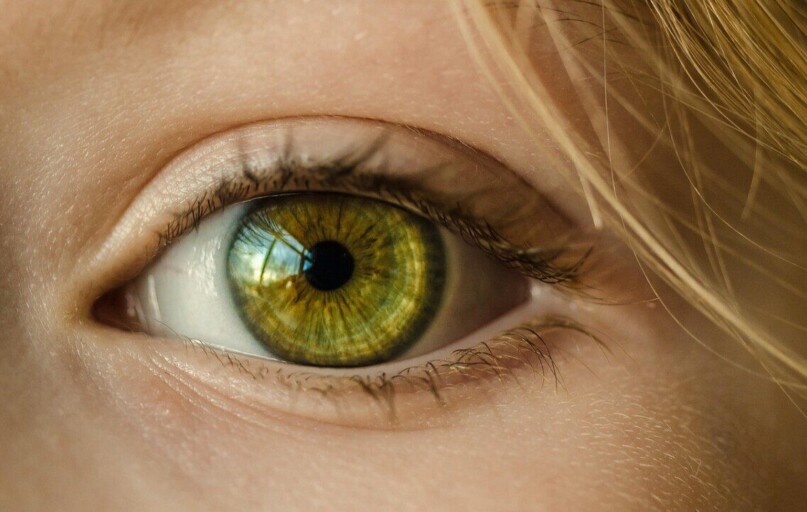 eye, iris, look, focus, green eye, close up, retina, pupil, eyeball, vision, sight, macro, girl, young, female, skin, caucasian, eyelashes, eye, eye, eye, eye, eye