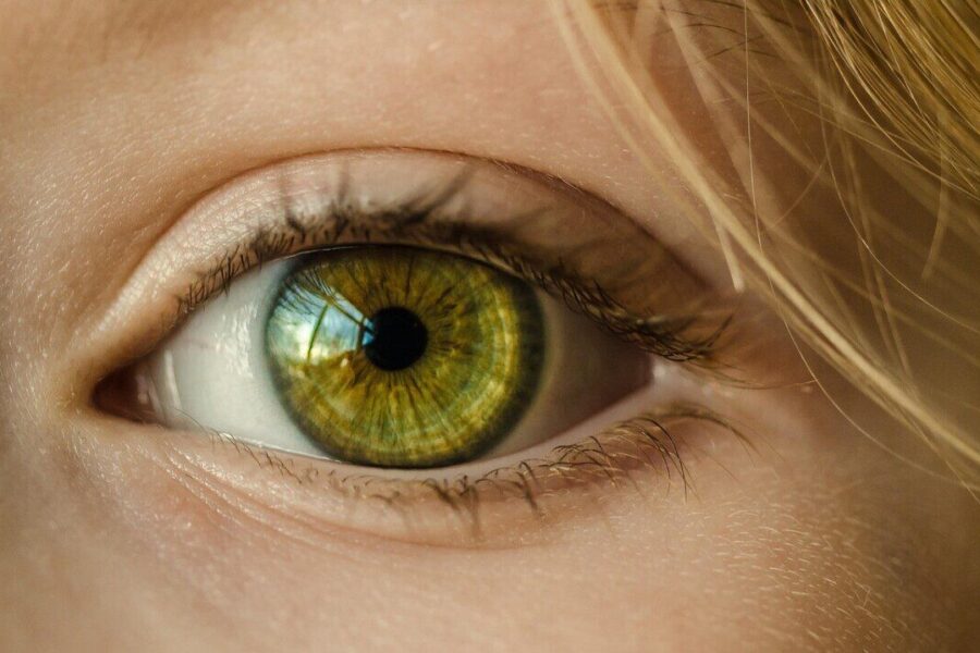 eye, iris, look, focus, green eye, close up, retina, pupil, eyeball, vision, sight, macro, girl, young, female, skin, caucasian, eyelashes, eye, eye, eye, eye, eye