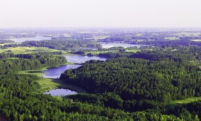 beautiful, forests, europe, lithuania, bird's flight, mist, green, nature, lithuania, lithuania, lithuania, lithuania, lithuania