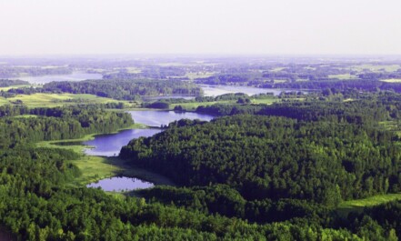 beautiful, forests, europe, lithuania, bird's flight, mist, green, nature, lithuania, lithuania, lithuania, lithuania, lithuania