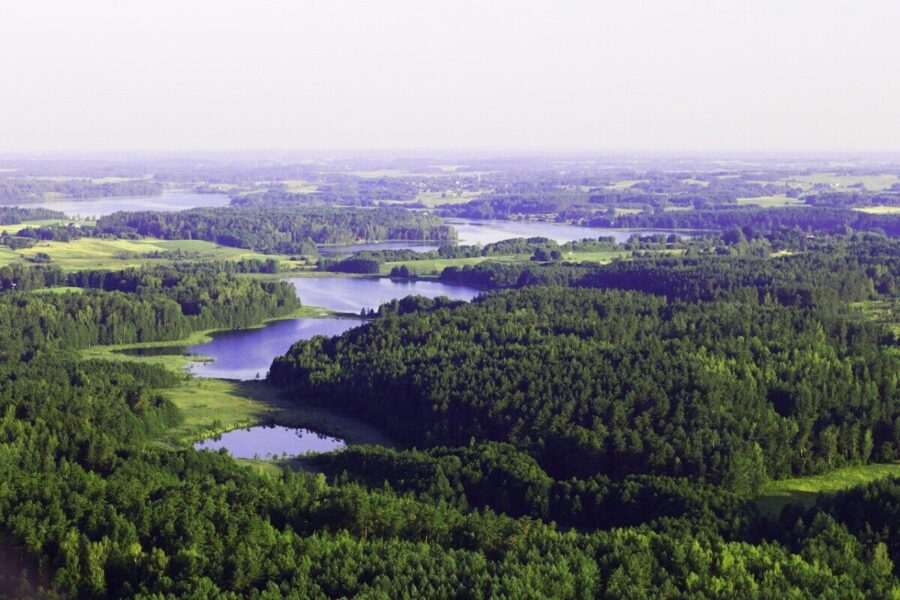 beautiful, forests, europe, lithuania, bird's flight, mist, green, nature, lithuania, lithuania, lithuania, lithuania, lithuania