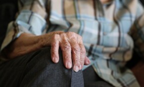 hands, 104 years, pensioner, old age, old lady, granny, seniors, old, human, age spots, character, pensioner, old age, old lady, old lady, old lady, old lady, old lady
